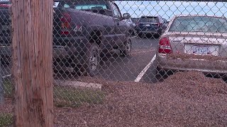 Mayfly invasion in Northeast Ohio [upl. by Garlaand]