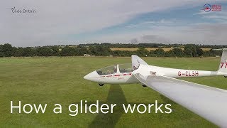 How a glider works [upl. by Ime937]