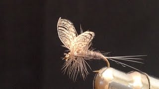 How To Create Wally Wings Mayfly [upl. by Sanoj]