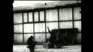 Chimpanzee Insight Kohler Study Footage [upl. by Idnaj335]