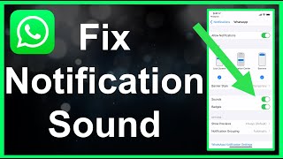 How To Fix WhatsApp Notification Sound EASY [upl. by Roselia883]