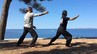 Tai Chi 5 Minutes a Day Module 04  Cloud Hands  Single Whip  Snake Creeps down [upl. by Beaufort896]