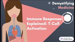 Immune Response Explained TCell Activation [upl. by Ob]