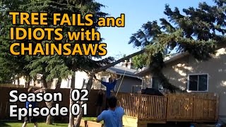 All new and rare Tree Fails and Idiots with Chainsaws S02E01 [upl. by Swords]