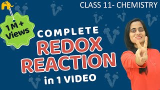 Redox Reactions Class 11  Chemistry Complete Chapter [upl. by Ardelia]