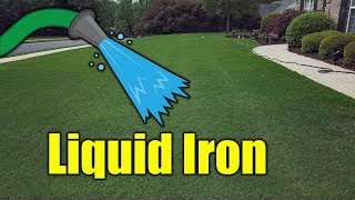 Make Grass Green with Liquid Iron [upl. by Caryn310]