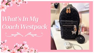 WIMB COACH WESTPACK BACKPACK [upl. by Alansen]