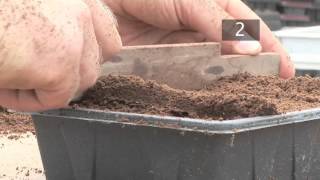 How To Plant Seeds in Starting Trays [upl. by Neoma]