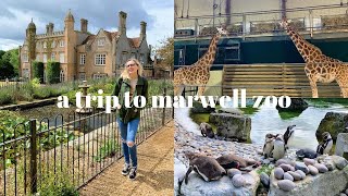 A Trip to Marwell Zoo [upl. by Okimuk]