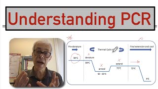 Understanding PCR [upl. by Aja]