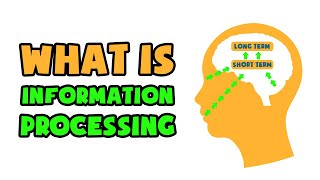 What is Information Processing  Explained in 2 min [upl. by Bedell]