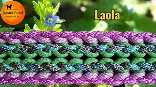 Laola  Paracord Halsband  Bunter Pudel ParacordampCo [upl. by Merell]