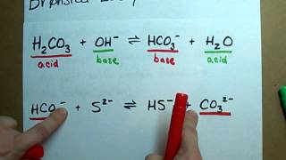 Identify Conjugate Acid Base Pairs Bronsted Lowry [upl. by Atikaj]