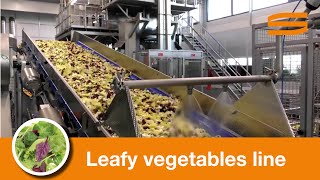 Leafy vegetables processing line  Sormac [upl. by Koziara]