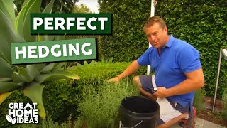 Perfect Hedging Made Easy for Beginners [upl. by Mar]