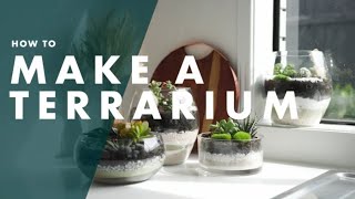 How To Make A Terrarium  Bunnings Warehouse [upl. by Redneval]