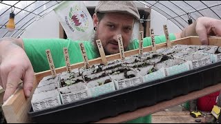 Simple DIY Seed Starting Tray [upl. by Otrebcire]