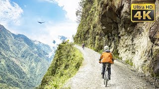 Biking in the Bolivias Death Road Yungas Road [upl. by Quill376]