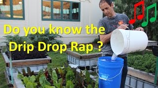 How to Water Vegetables with a Drip Irrigation Bucket [upl. by Lednyk]