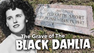 The Grave of The Black Dahlia 4K [upl. by Johnsten]