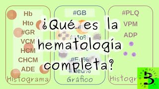 🟪 ¿Qué es el hemograma 🟪 [upl. by Barthel]