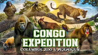 Zoo Tours CONGO EXPEDITION  Columbus Zoo amp Aquarium [upl. by Naruq]