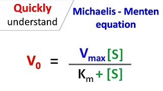 Michaelis Menten equation [upl. by Nimesh]