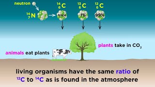 Radiometric Dating Carbon14 and Uranium238 [upl. by Noman]