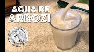 Agua de Arroz  Agua de Horchata [upl. by Ayel]