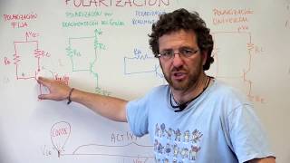 4 maneras de polarizar un transistor [upl. by Eluk]