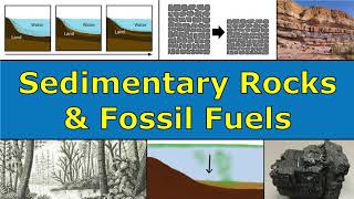 Sedimentary Rocks amp Fossil Fuels Overview [upl. by Stillmann]