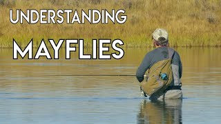 Understanding Mayflies with Tom Rosenbauer [upl. by Lula]