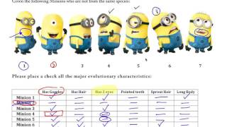 AP Biology  Cladogram Practice with Minions [upl. by Enyrat326]