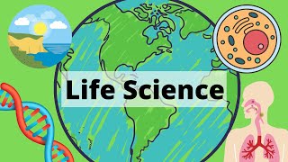 A Year of Life Science in 3 Minutes [upl. by Letnohc685]