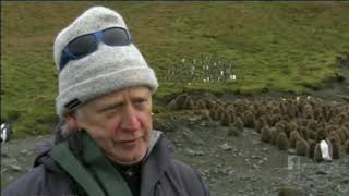 Australias Remote Islands  Macquarie Island 2014 [upl. by Roselle8]