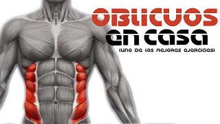 ABDOMINALES OBLICUOS EN CASA UNO DE LOS MEJORES EJERCICIOS [upl. by Aynat]