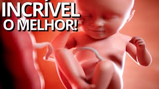 SOM DO ÚTERO PARA RECÉM NASCIDO  Música Para Bebê Ouvir e Mexer na Barriga da Mãe [upl. by Essie]