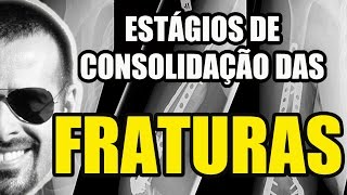 Vídeo Aula 127  Osteologia  Fraturas Estágios de Consolidação  Sistema ÓsseoEsquelético [upl. by Mckee340]