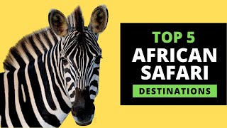 AFRICAN SAFARI DESTINATIONS  Top 5 Most Popular with prices [upl. by Nasia230]