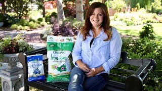 How Iron Tone Can Help Plants Grow [upl. by Aili788]