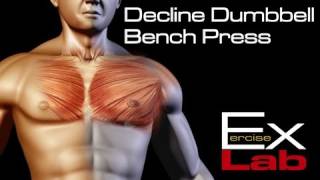 Decline Bench Press  Chest Exercises [upl. by Aerbas]