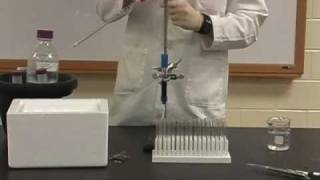 Protein Methods 2010  Lab 4 Affinity Chromatography [upl. by Ellekim]