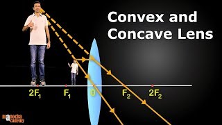 Convex and Concave Lenses [upl. by Robbi]