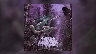 Infant Annihilator  The Elysian Grandeval Galèriarch OFFICIAL ALBUM STREAM W LYRICS [upl. by Nalat]