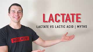 Lactate vs Lactic Acid Explained  Muscle Physiology [upl. by Akenom390]