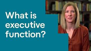 What Is Executive Function [upl. by Fortin292]