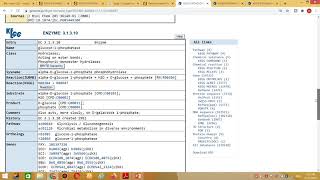 How to explore metabolic pathways through KEGG pathway database resource [upl. by Meghan]