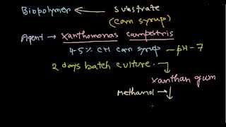 Xanthan gum production [upl. by Rob]