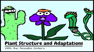 OLD VIDEO Plant Structure and Adaptations [upl. by Cindi829]