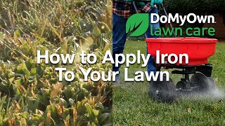 How to Apply Iron To Your Lawn  DoMyOwncom [upl. by Eisse987]